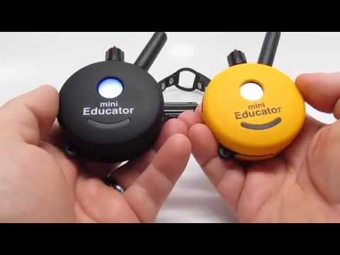 Mini Educator E Collar Guide for Smart Pet Training 2026